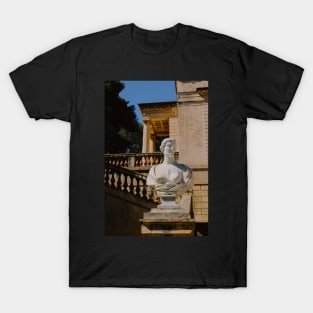 Still as a Statue T-Shirt